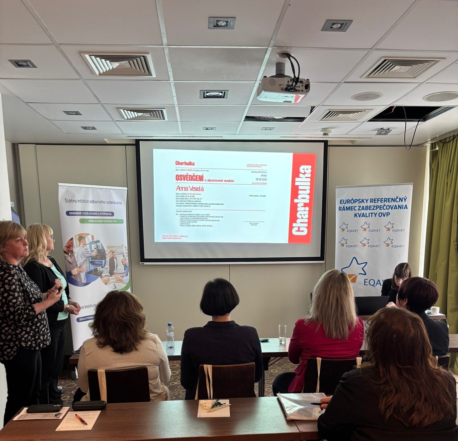 cz príklady dobrej praxe